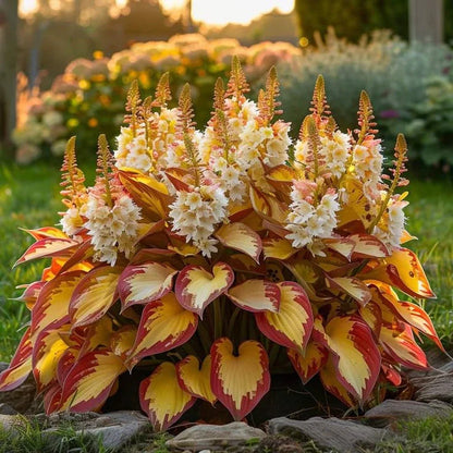 🔥 Premium Hosta Flower Seeds (Buy 1 Get 2 Free + Free Plant Booster )
